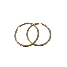 Load image into Gallery viewer, Paige Hoops
